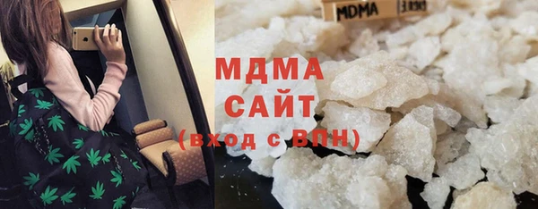 хмурый Аркадак