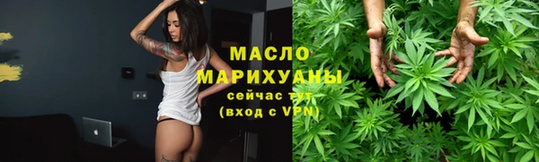 хмурый Аркадак