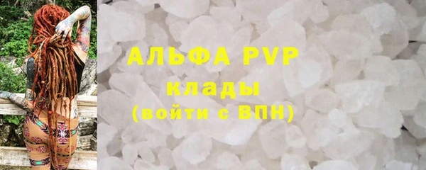 хмурый Аркадак