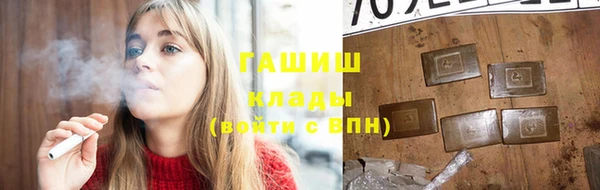 шишки Арсеньев