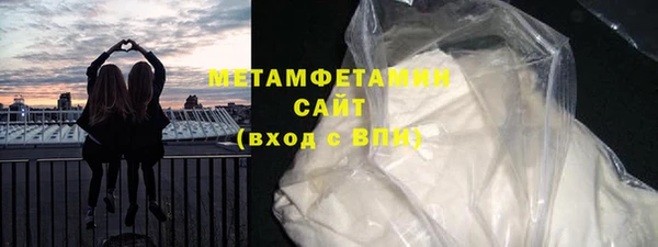хмурый Аркадак