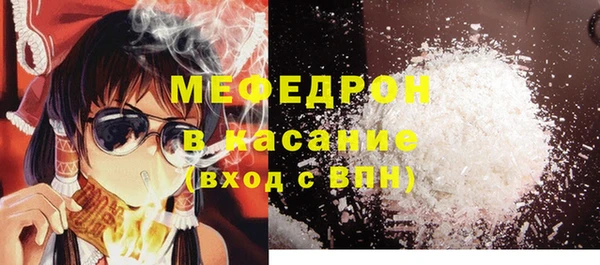 хмурый Аркадак