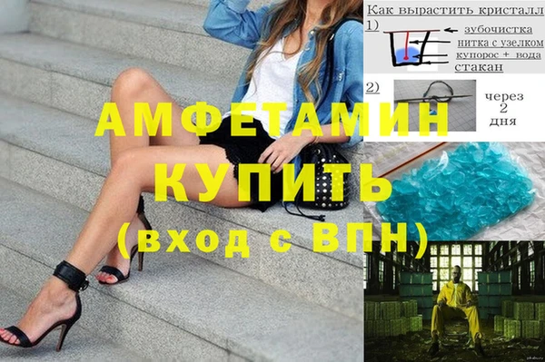 шишки Арсеньев