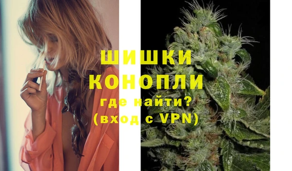 хмурый Аркадак