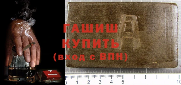 хмурый Аркадак