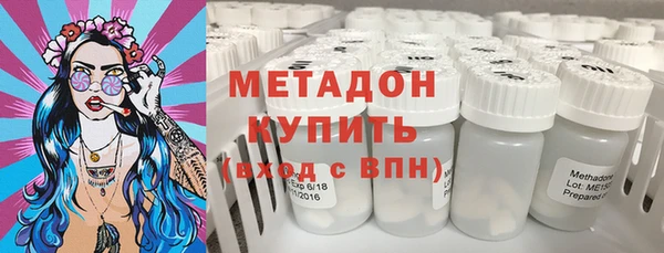 хмурый Аркадак