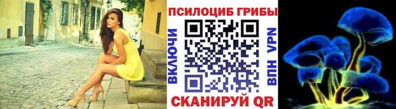 Галлюциногенные грибы Psilocybine cubensis  как найти   Строитель 